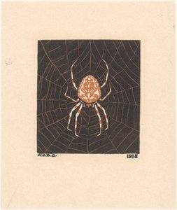 Spinne in einem Netz