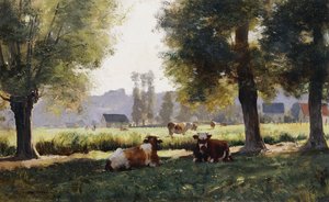 Wiese in Arques-la-Bataille, Normandie