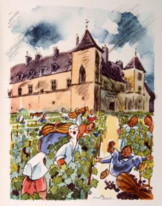 Französischer Weinberg. 1944. Illustration von Julien Pavil