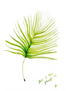 Grünes Palmblatt Aquarell von Julija Belickienė