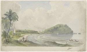 Tropische Küstenlandschaft