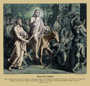 Einzug Jesu in Jerusalem, Evangelium nach Matthäus