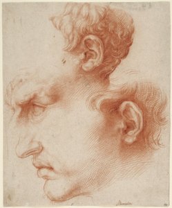 Studien eines männlichen Kopfes im Profil von Jusepe de Ribera