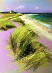 Lebendige Strandsanddünen