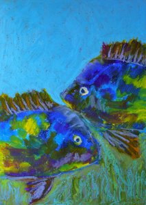 Lebendige tropische Fische