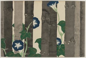 Blumen von hundert Welten (Momoyogusa): Prunkwinden