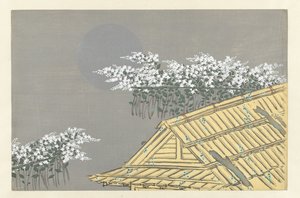 Weiße Blumen am Haus von Kamisaka Sekka