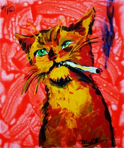 Coole rauchende Katze