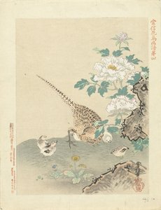 Wachtel mit Küken von Kano Tsunenobu