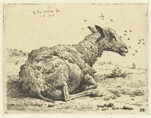 Liegendes Schaf mit Fliegen von Karel Du Jardin