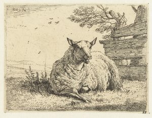 Schaf bei einem Zaun von Karel Du Jardin