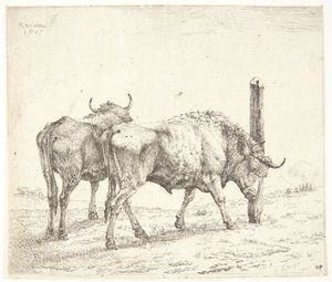 Die zwei Ochsen von Karel Du Jardin