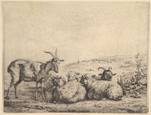 Zwei Ziegen und drei Schafe, 1655