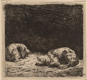 Hund und Katze von Karel Dujardin