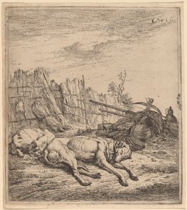 Jagdhunde