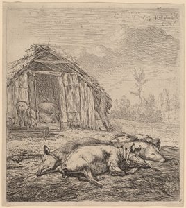Drei Schweine von Karel Dujardin