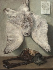 Schneeeule von Karel Purkyne