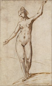 Weiblicher Akt von Karel Van Mander
