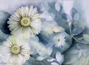Gerbera Jameson II von Karen Armitage