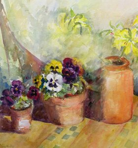 Stiefmütterchen und Terrakottatöpfe von Karen Armitage