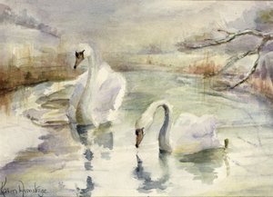 Schwäne im Winter von Karen Armitage