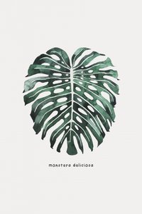 Monstera-Blatt Aquarell