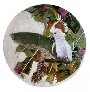 Weißer Kakadu im Dschungel von Karenina Fabrizzi