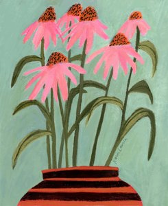Rosa Sonnenhut in Vase