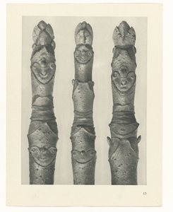 Pflanzenstudie Urformen der Kunst (Serientitel) von Karl Blossfeldt