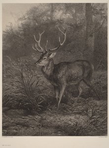  von Karl Bodmer