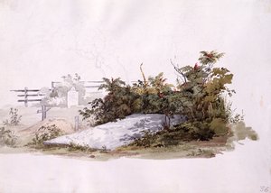 Grab der Brüder in Gnadenhütten von Karl Bodmer