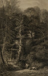 Waldinneres von Karl Bodmer