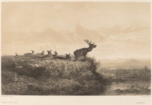 Der Morgen von Karl Bodmer