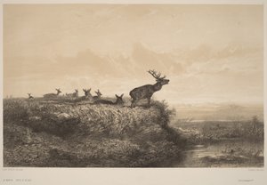 Der Morgen von Karl Bodmer