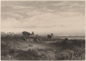 Les biches. von Karl Bodmer