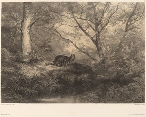 Frischlinge von Karl Bodmer