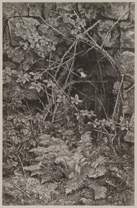 Springender Marder von Karl Bodmer
