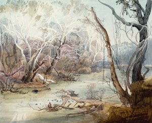 Der Fox River bei New Harmony, Indiana von Karl Bodmer