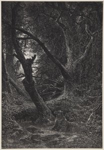 Zwei Bären im Wald von Karl Bodmer
