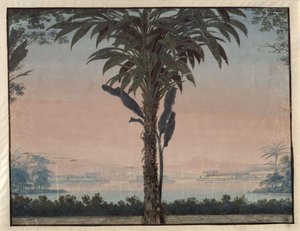 Athalia. Oper von Johann Nepomuk von Poissl. Entwurf zur 4. Dekoration. Garten des Hohepriesters mit großer Palme vor einer Wasserfläche von Karl Friedrich Schinkel