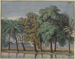 Die Zauberflöte. Oper von Wolfgang Amadeus Mozart. Entwurf zur 6. Dekoration. Vorhof des Prüfungstempels von Karl Friedrich Schinkel