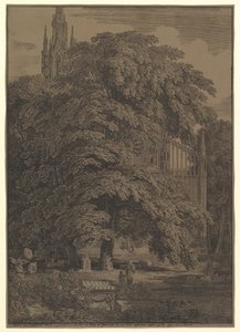 Gotische Kirche hinter einem Baum