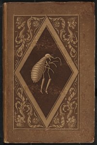 Meister Floh. Ein Märchen in sieben Abenteuern zweier Freunde von Karl Friedrich Thiele, Ernst Theodor Amadeus Hoffmann
