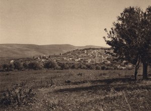 Kana (s/w Foto)