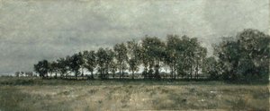 Am Waldrand