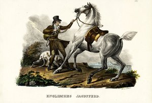 Englisches Jagdpferd, 1824