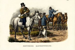 Deutsche Bauernpferde, 1824 von Karl Joseph Brodtmann