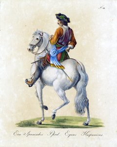 Das spanische Pferd von Karl Joseph Brodtmann