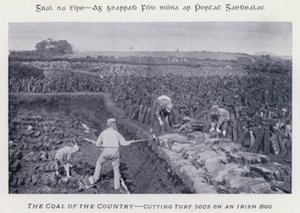 Der Torf des Landes, Torfsoden schneiden auf einem irischen Moor von Karl Karlovich Piratsky