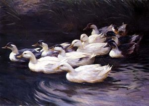 Enten von Karl Lindner